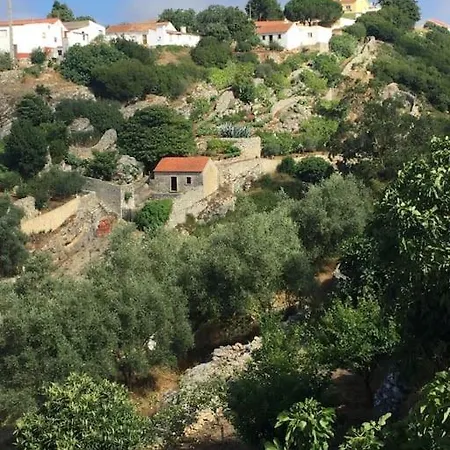 Villa Casa Da Encosta - Charming House W Outdoor Kitchen