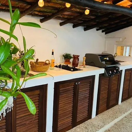 Villa Casa Da Encosta - Charming House W Outdoor Kitchen
