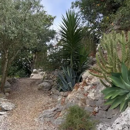 Casa Da Encosta - Charming House W Outdoor Kitchen Villa